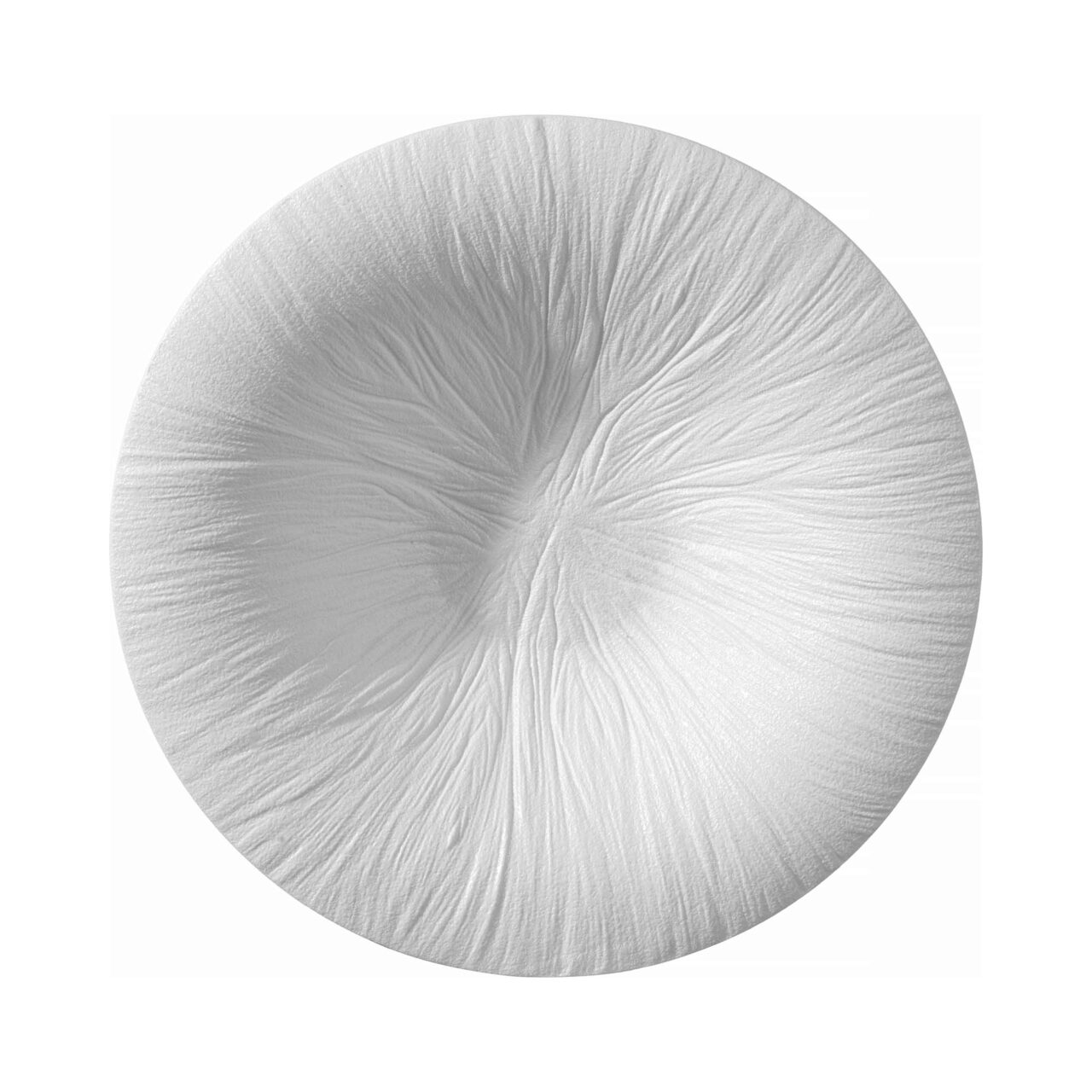 Farfurie de paste Fiord 290mm, Fine Dine - Image 12