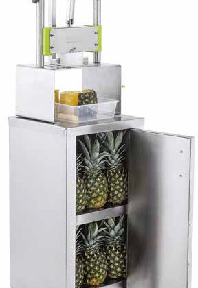 Stand For Pineapple Peeling Machine 1104