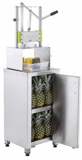 Stand For Pineapple Peeling Machine 1104