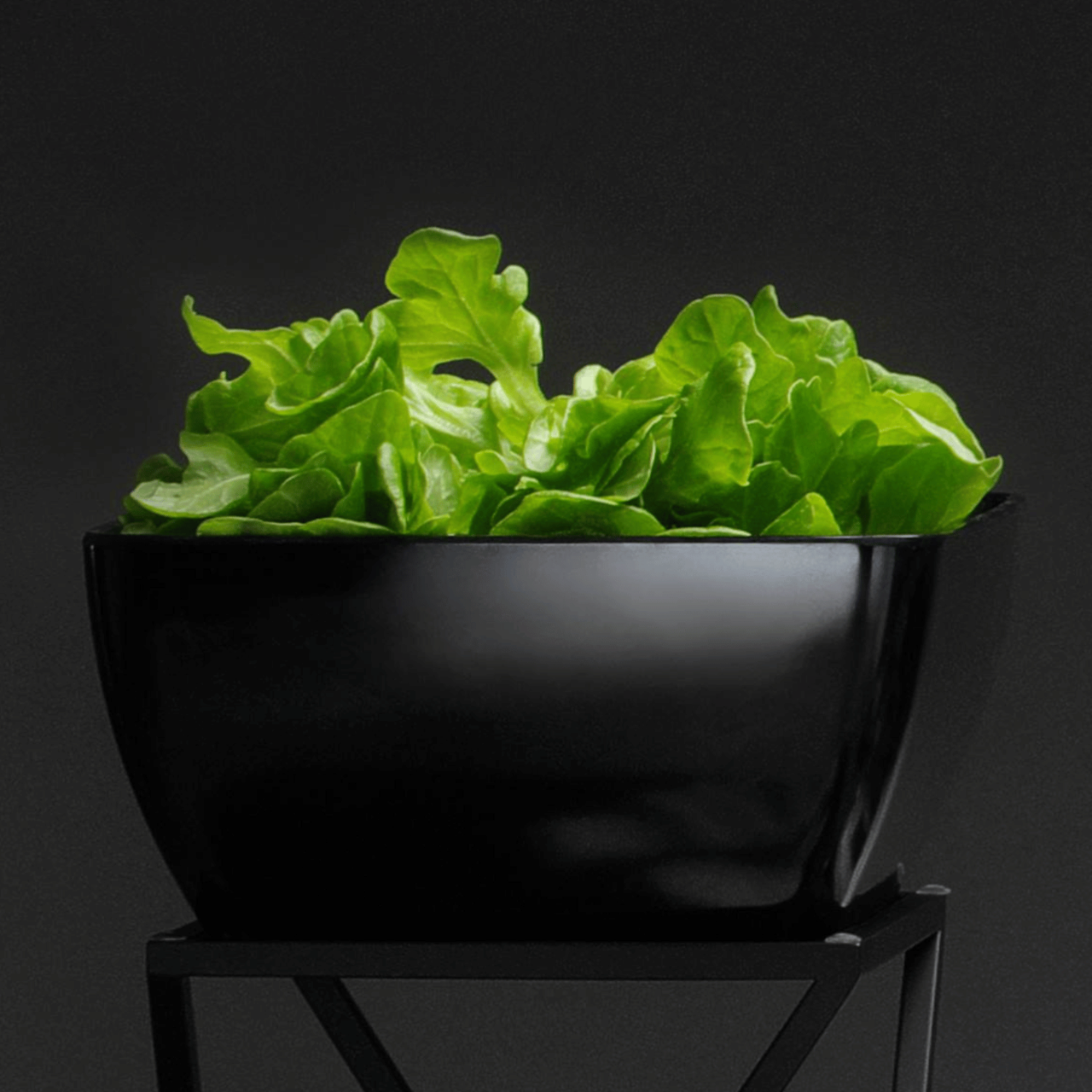 Bol pătrat din melamină, grafit, 190x190x(h)90mm Fine Dine - Image 8