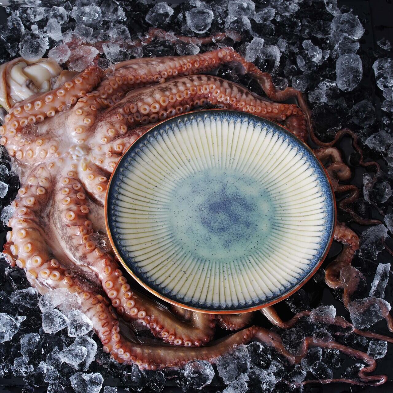 Farfurie Galaxy, 210 mm Fine Dine - Image 3